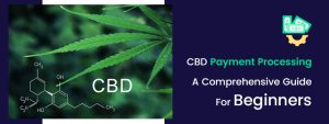 CBD Payment Processing- A Comprehensive Guide for Beginners